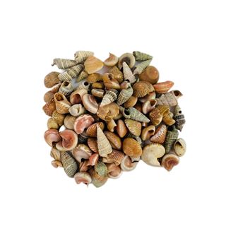 مخلوط چشم سوزنی و صدف
