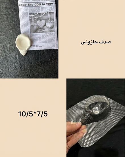 تصویر قالب طلقی صدف حلزونی
