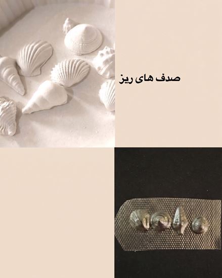 تصویر قالب طلقی صدف های ریز