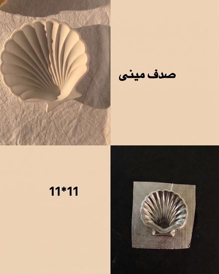 تصویر قالب طلقی صدف مینی